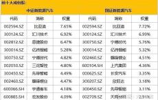 国新能源今年业绩分析与展望