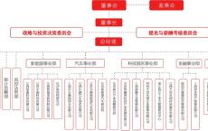 蜂巢新能源公司