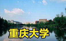 西南民族大学艺术学院官网