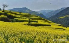 成都2月份旅游