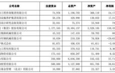 鲁能新能源营业收入