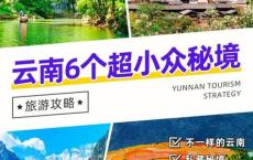 丽江旅游集团公众号