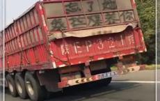 抖音热门话题：新能源卡车