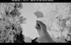 悲伤一点的音乐歌曲