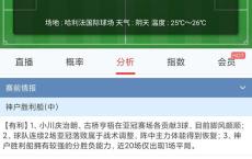 球探体育足球数据查询