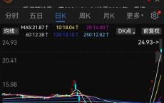 新能源公司600213股票分析