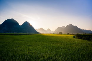 揭秘风水宝地，揭秘家居装饰中的神秘力量——专业批发带你走进风水用品的世界