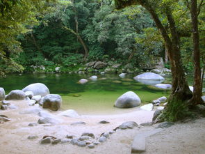 揭秘哀牢山的神秘居民，全天候监控下的生态观察之旅