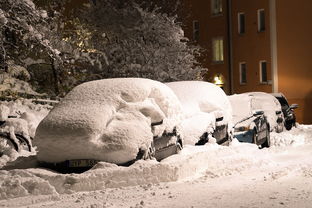 索契冬奥会，冰雪盛宴的荣耀与挑战